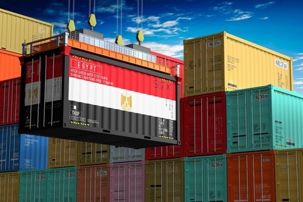 رغم التغيرات المناخية.. كيف نجحت مصر في تعزيز موقعها بسوق الصادرات الزراعية عالمياً؟